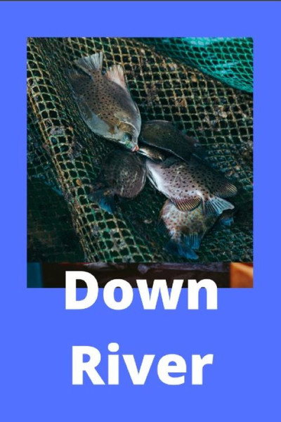 Póster de Down River