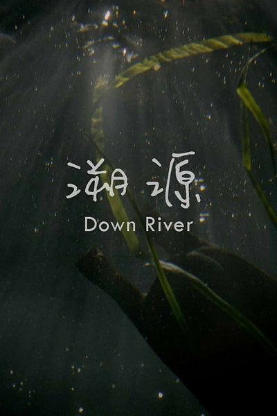 Póster de Down River