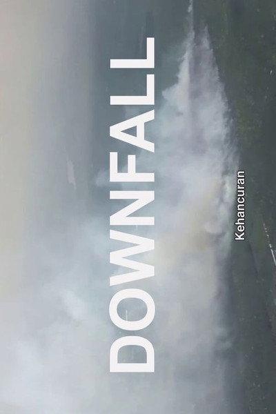 Póster de Downfall