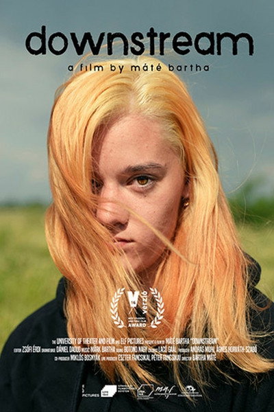 Póster de Downstream