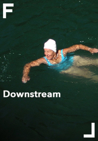 Póster de Downstream