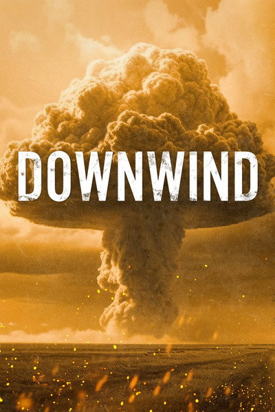 Póster de Downwind