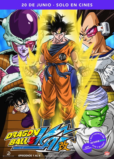 Póster de Dragon Ball Z Kai