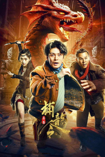 Póster de Dragon Hunter