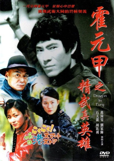 Póster de Dragon in Fury
