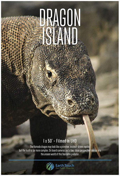 Póster de Dragon Island