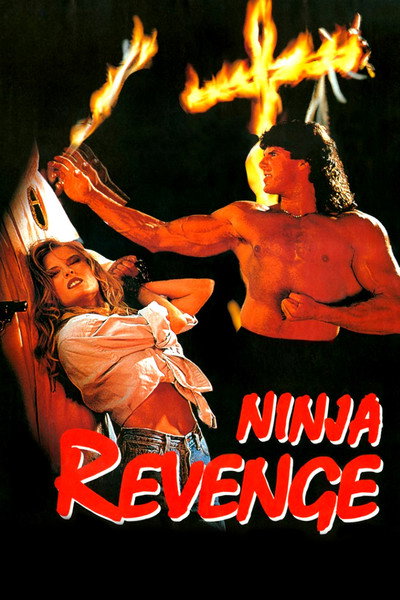 Póster de Dragon Ninja