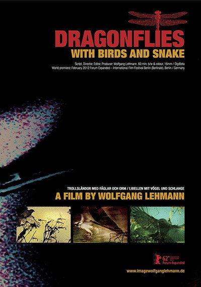 Póster de Dragonflies with Birds and Snakes