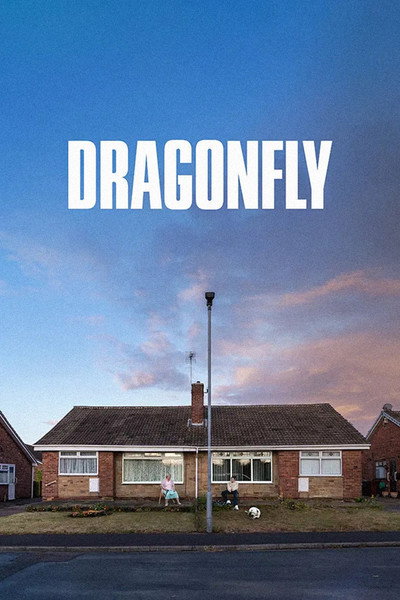Póster de Dragonfly