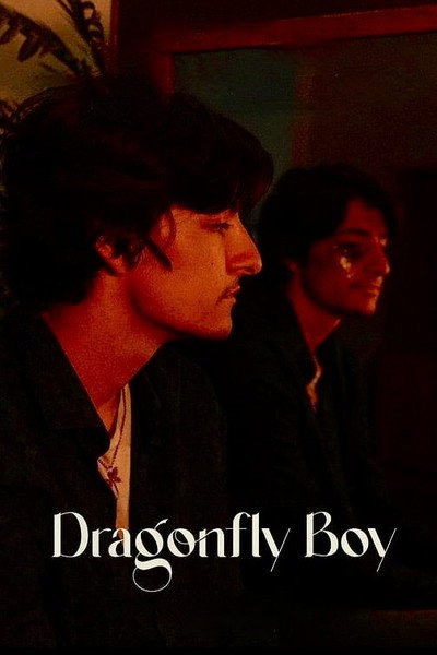 Póster de Dragonfly Boy