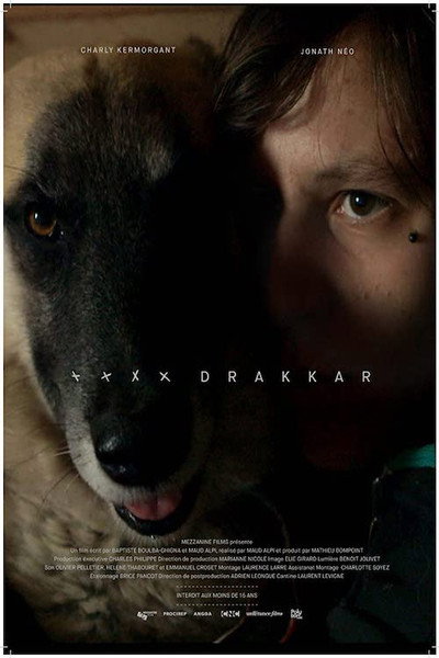 Póster de Drakkar