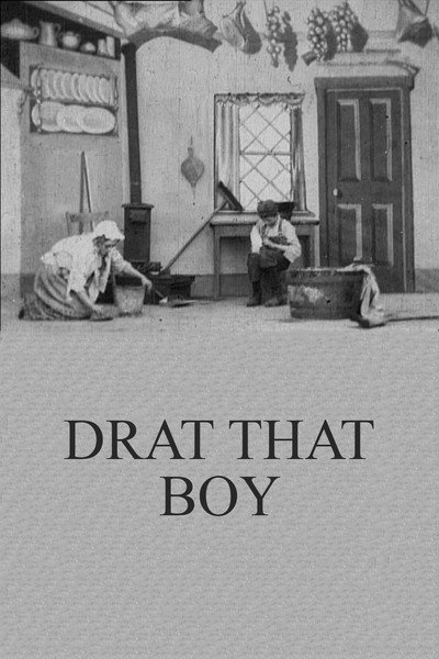 Póster de Drat That Boy