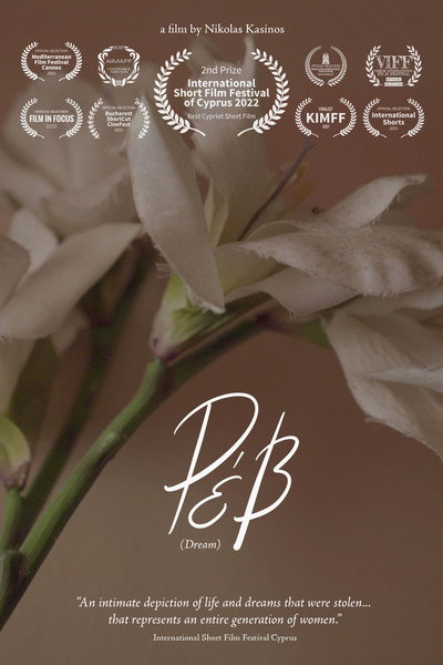 Póster de Dream