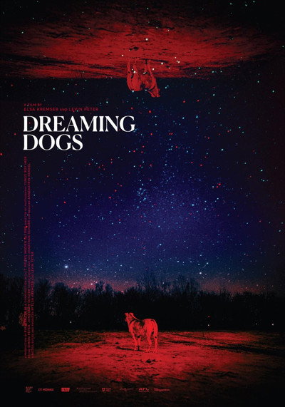 Póster de Dreaming Dogs