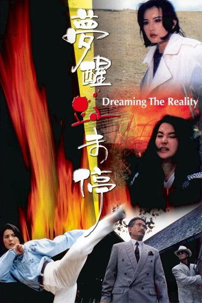 Póster de Dreaming the Reality