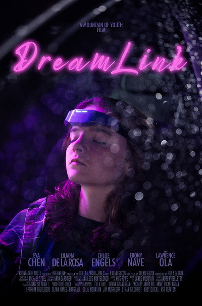 Póster de Dreamlink