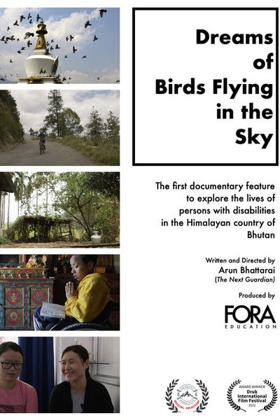 Póster de Dreams of Birds Flying in the Sky
