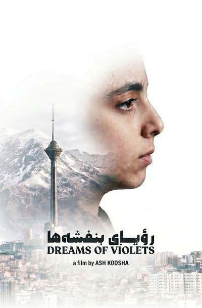 Póster de Dreams of Violets