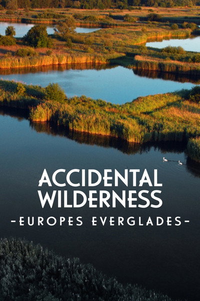 Póster de Drehkreuz Rieselfelder: Vogelparadies im Herzen Europas