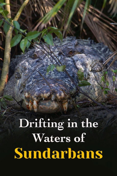 Póster de Drifting in the Waters of Sundarbans