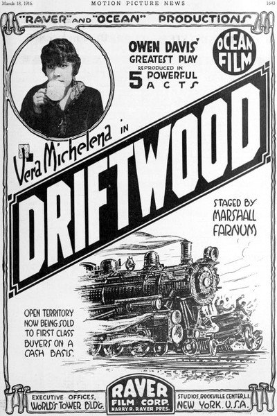 Póster de Driftwood