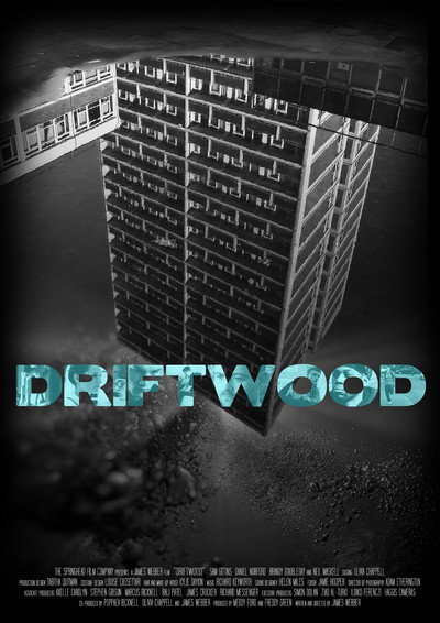 Póster de Driftwood