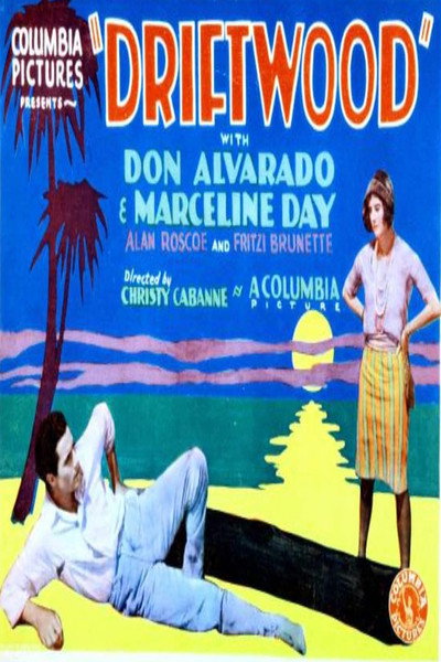 Póster de Driftwood