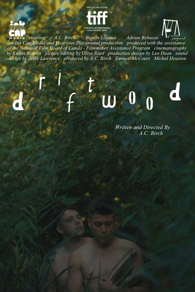 Póster de Driftwood