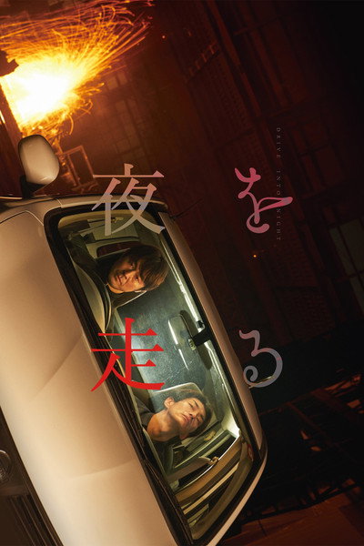 Póster de Drive Into Night