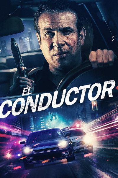 Póster de Driver