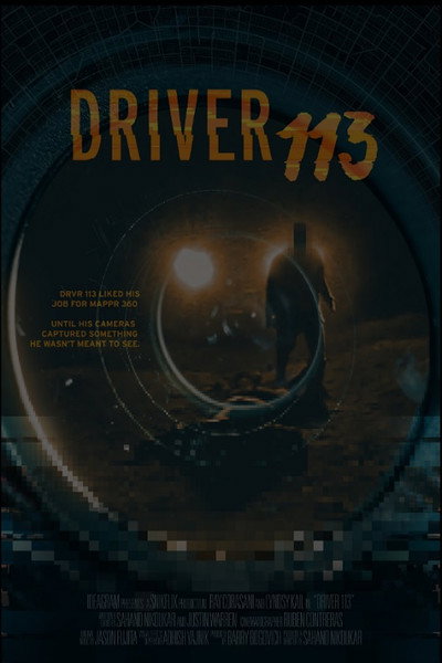 Póster de Driver 113