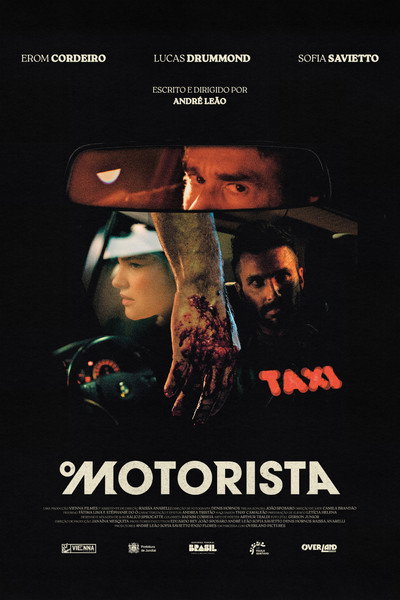 Póster de Driver
