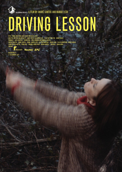 Póster de Driving Lesson
