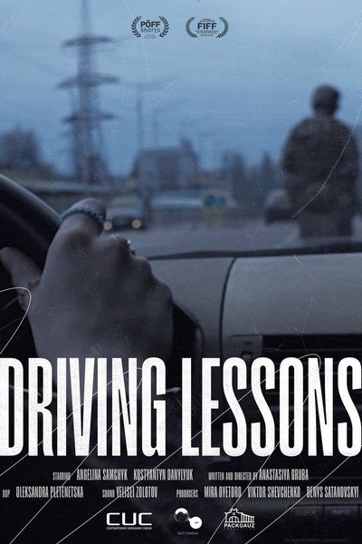 Póster de Driving Lessons