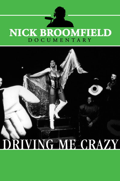 Póster de Driving Me Crazy