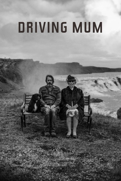 Póster de Driving Mum