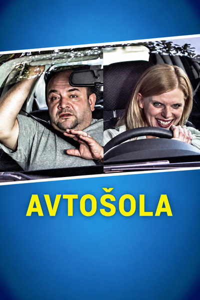 Póster de Driving School