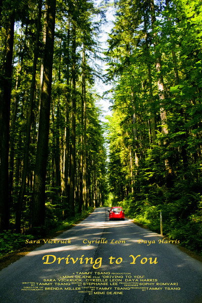 Póster de Driving to You
