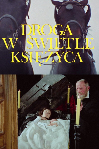 Póster de Droga w swietle ksiezyca