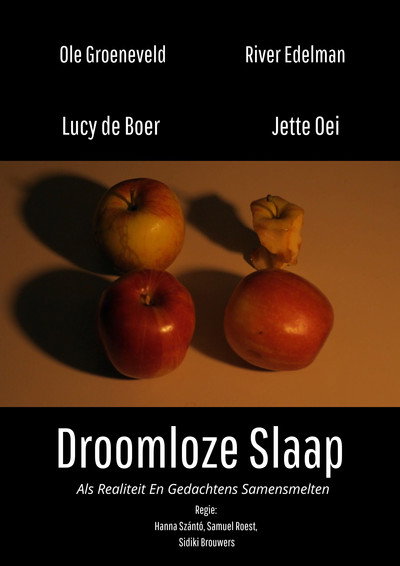 Póster de Droomloze Slaap