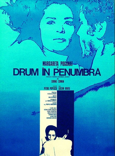 Póster de Drum în penumbra
