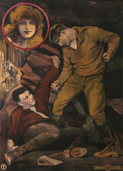 Póster de Drvostep