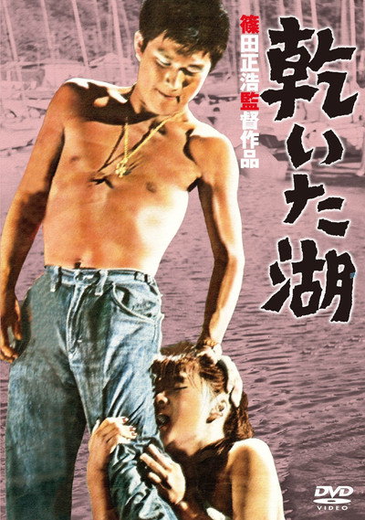 Póster de Dry Lake