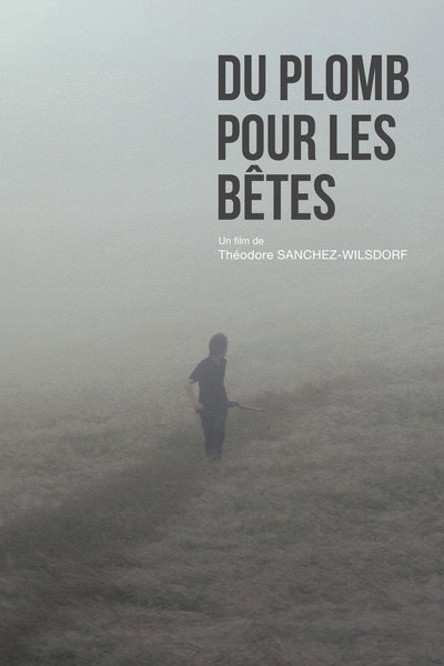 Póster de Du plomb pour les bêtes
