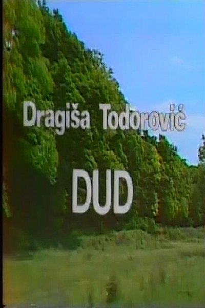 Póster de Dud