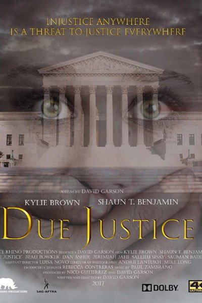 Póster de Due Justice