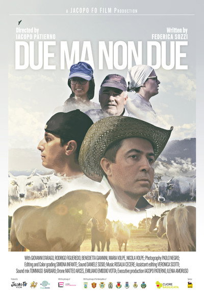 Póster de Due ma non due