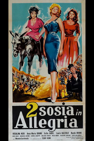 Póster de Due sosia in allegria