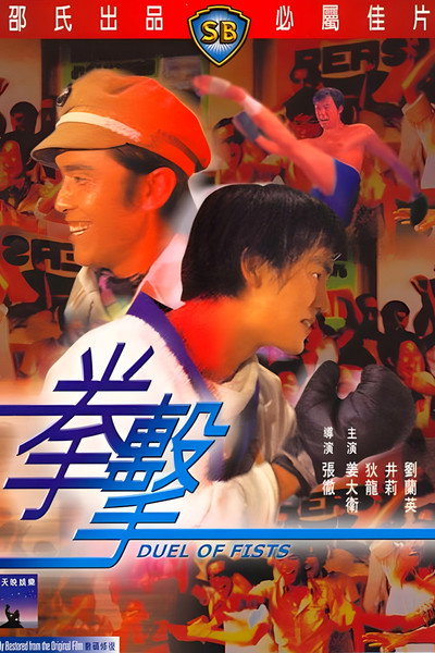 Póster de Duel of Fists