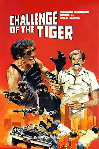 Póster de Duelo del Dragón y el Tigre